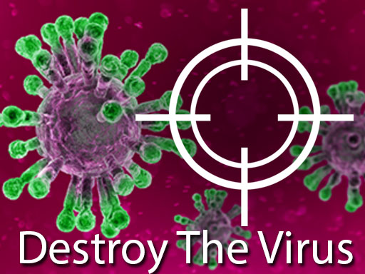 Destroy The Corona Virus game thumbnail